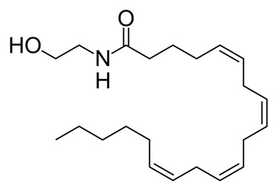 Anandamide AEA molecule