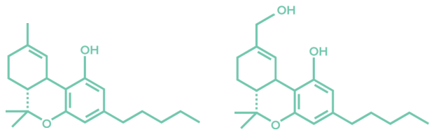 THC and 11-OH-THC molecules