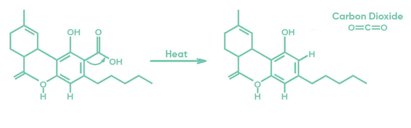 cbd and thc molecules