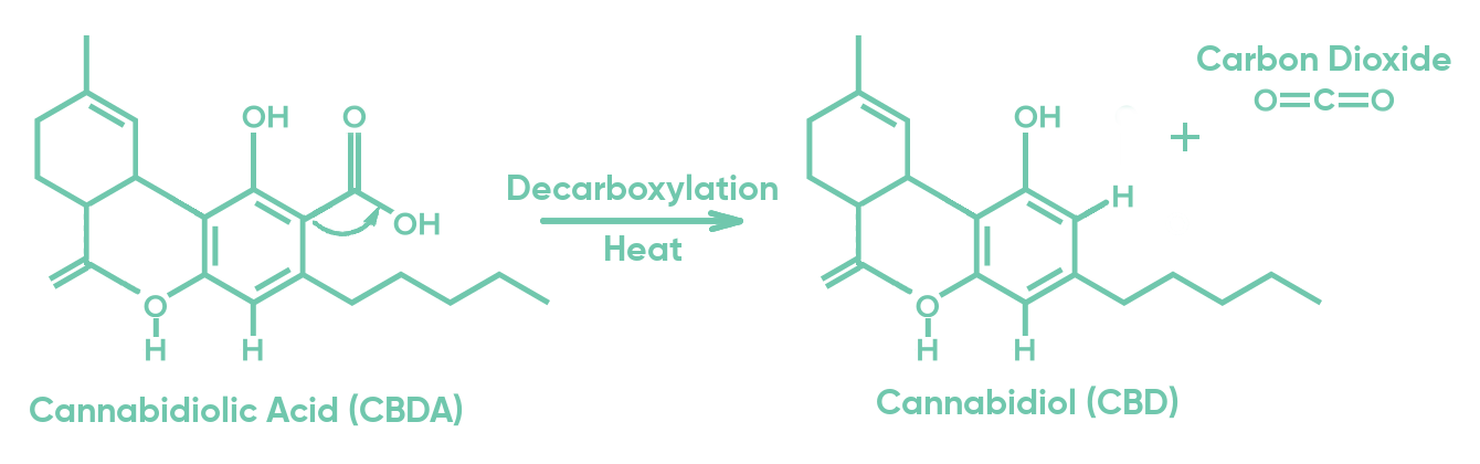 cbd decarboxylation