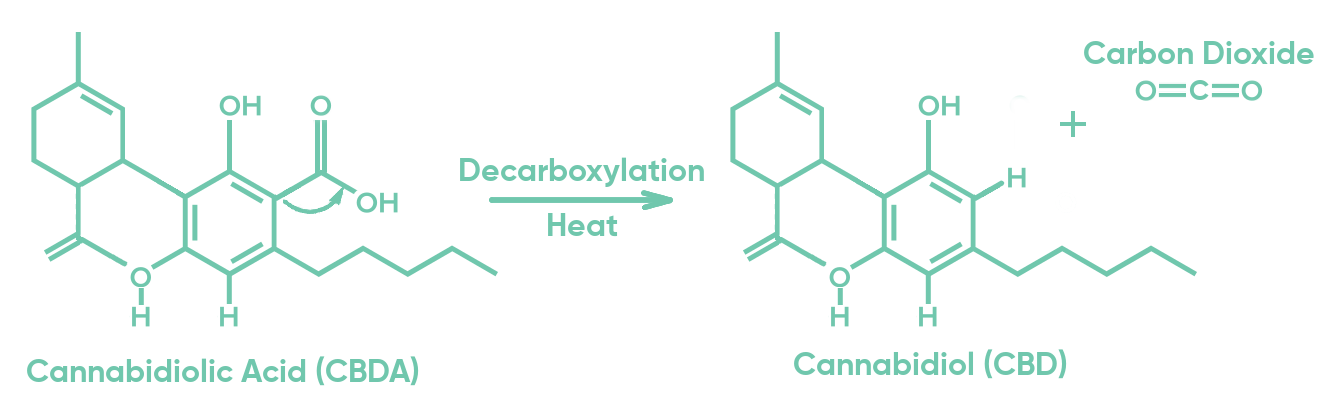 transformation of THCA molecule into THC