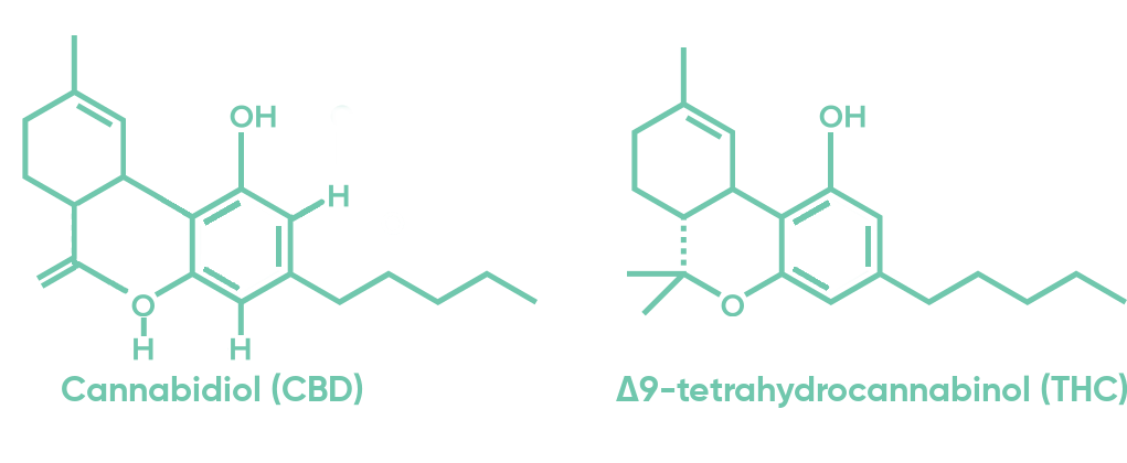 cbd and thc molecules