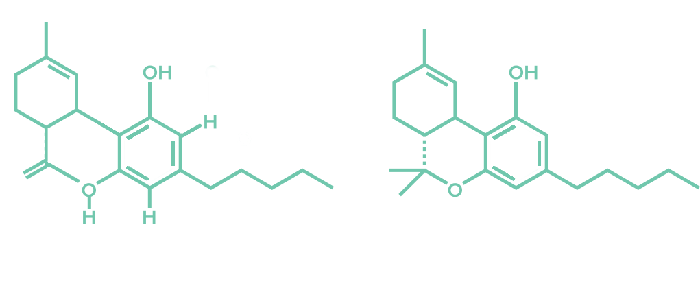 cbd and thc molecules