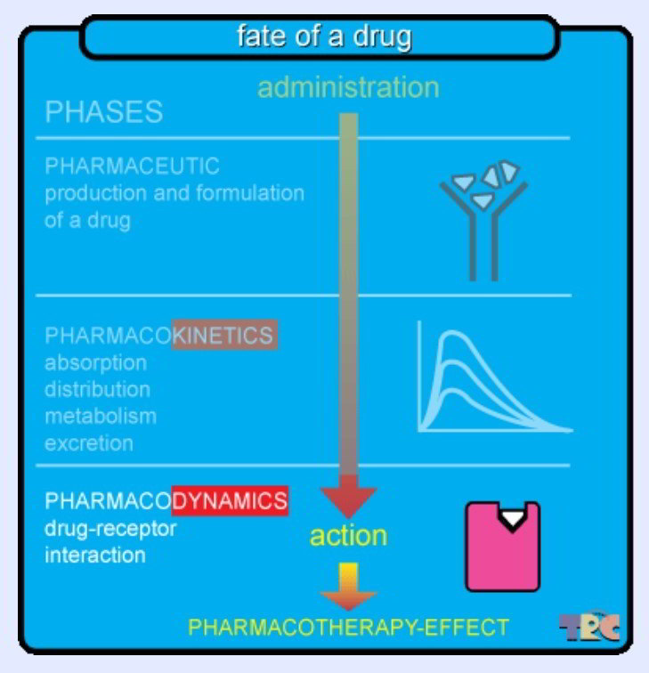 cannabis pharmacodynamics