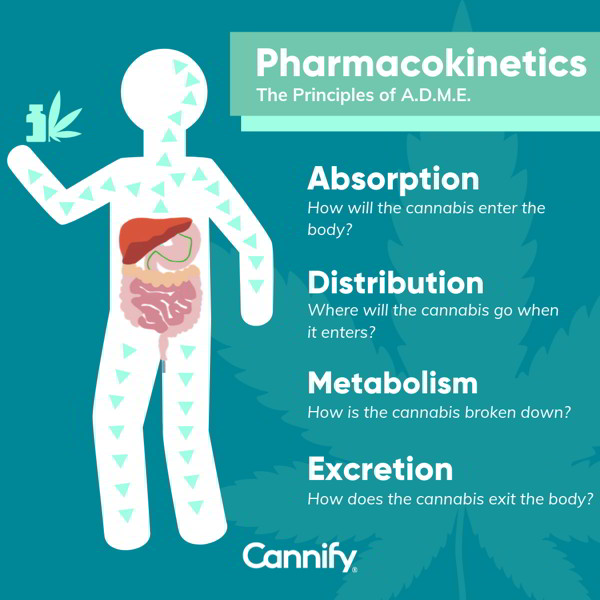 pharmacokinetics adme