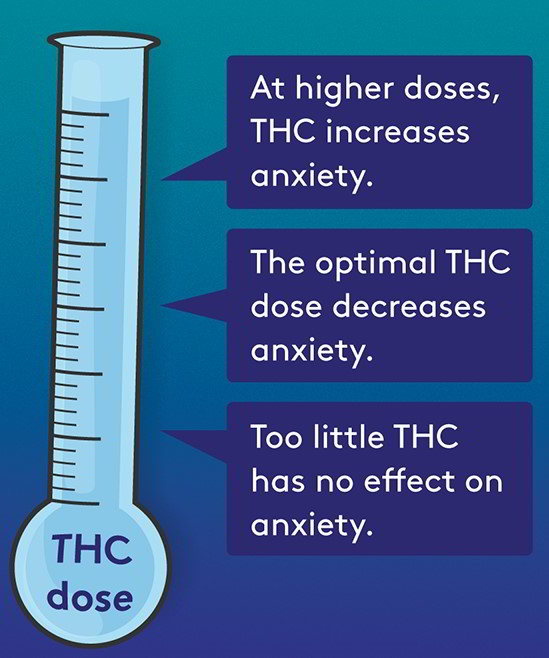 Precision work illustration of CBD effects on anxiety