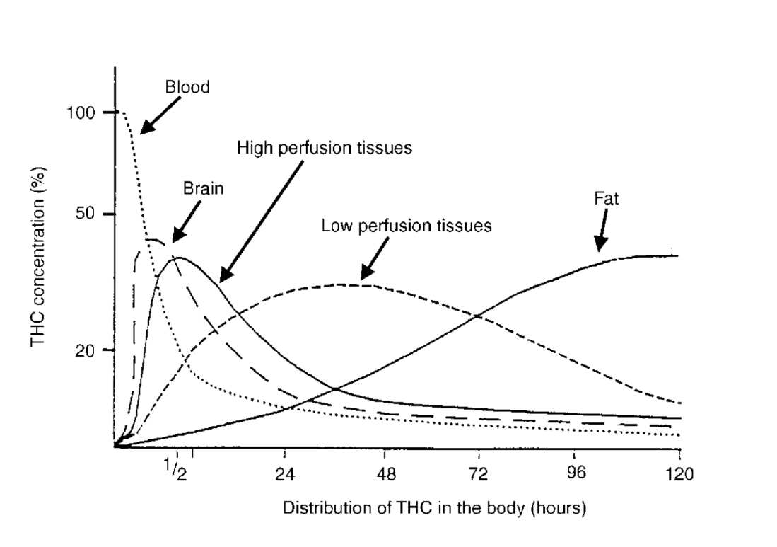 thc distribution in the body over time graph