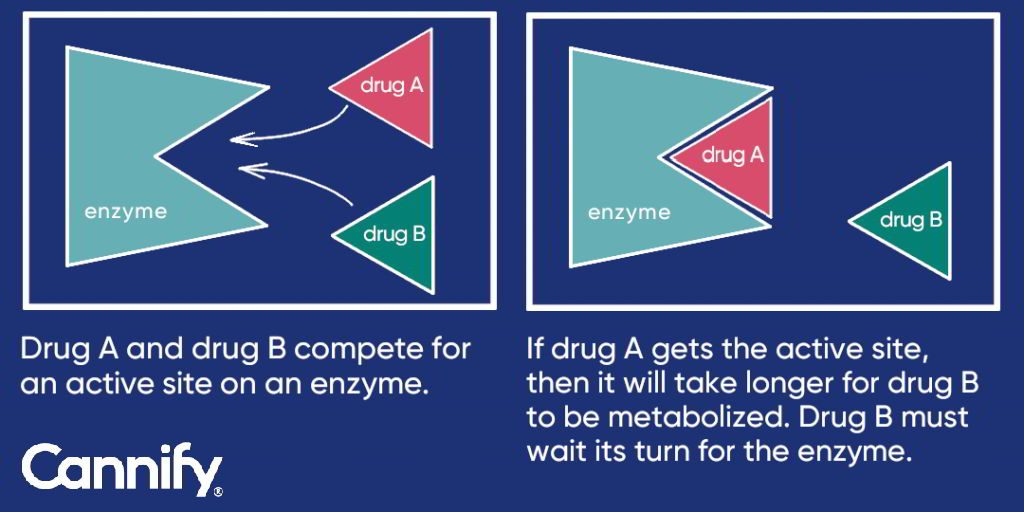 enzyme inhibition in THC metabolism